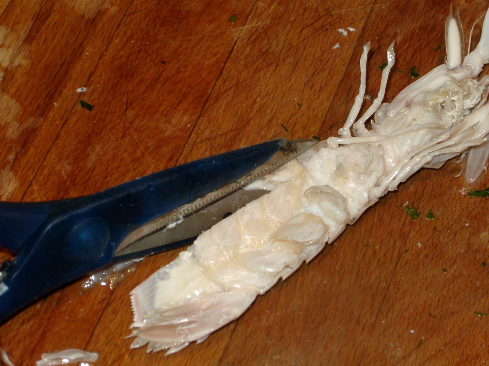 Taglio della Canoccia