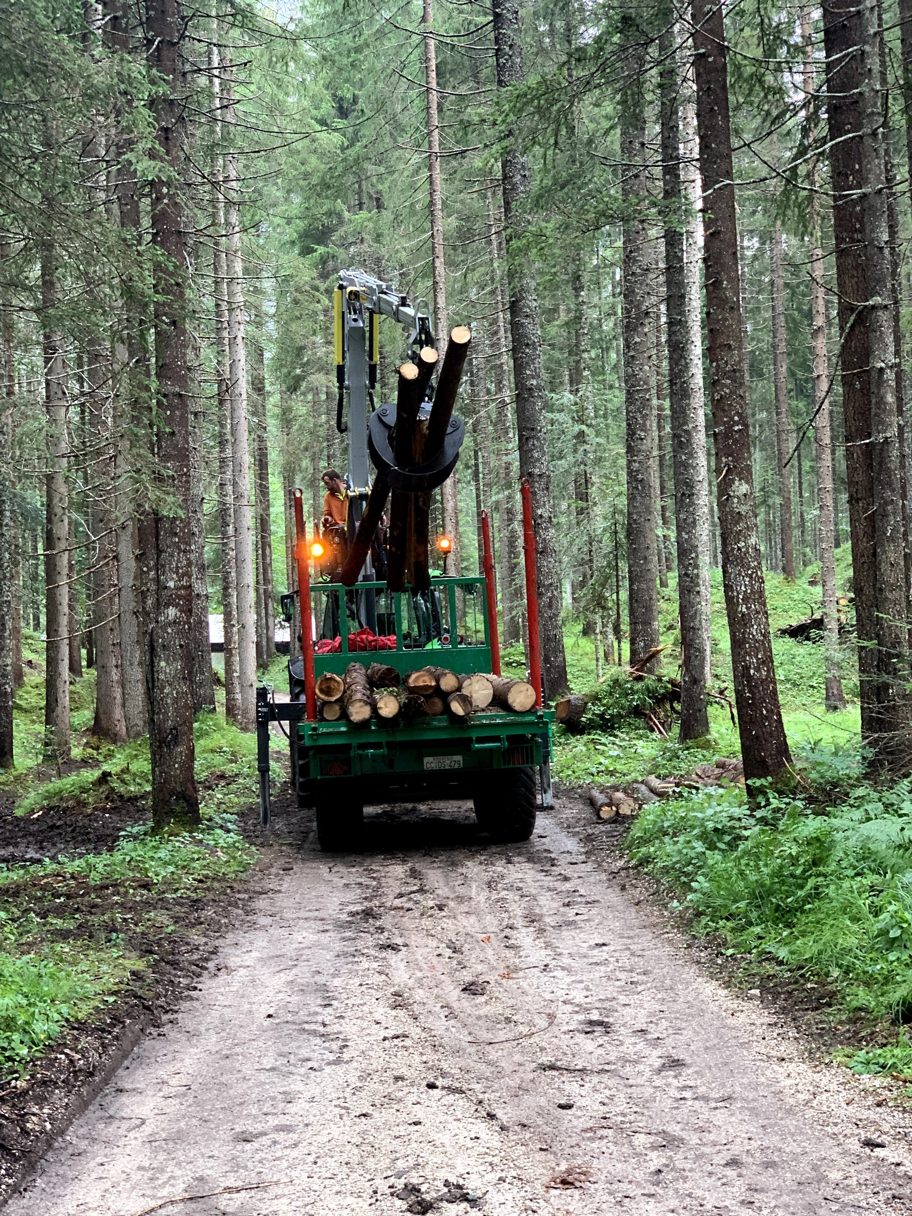 Mezzo forestale impegnato nel recupero di tronchi nella foresta di Somadida dopo la tempesta Vaia.